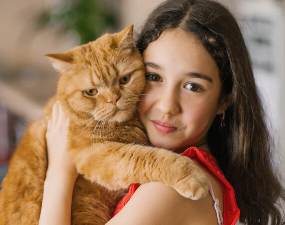 Felinoterapia – jak kot może wspierać nasze zdrowie
