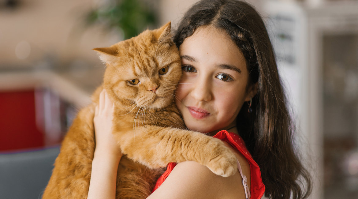 Felinoterapia – jak kot może wspierać nasze zdrowie